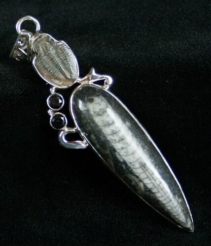 Fossil Orthoceras & Trilobite Pendant - Sterling Silver #7038